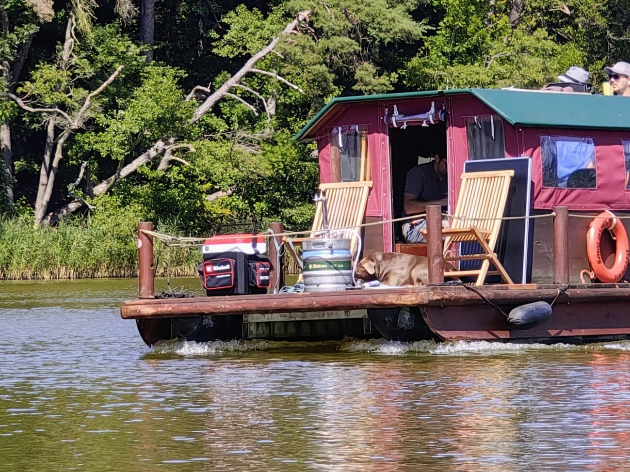 Einhell TE-COL 18/2 Li Kühlbox