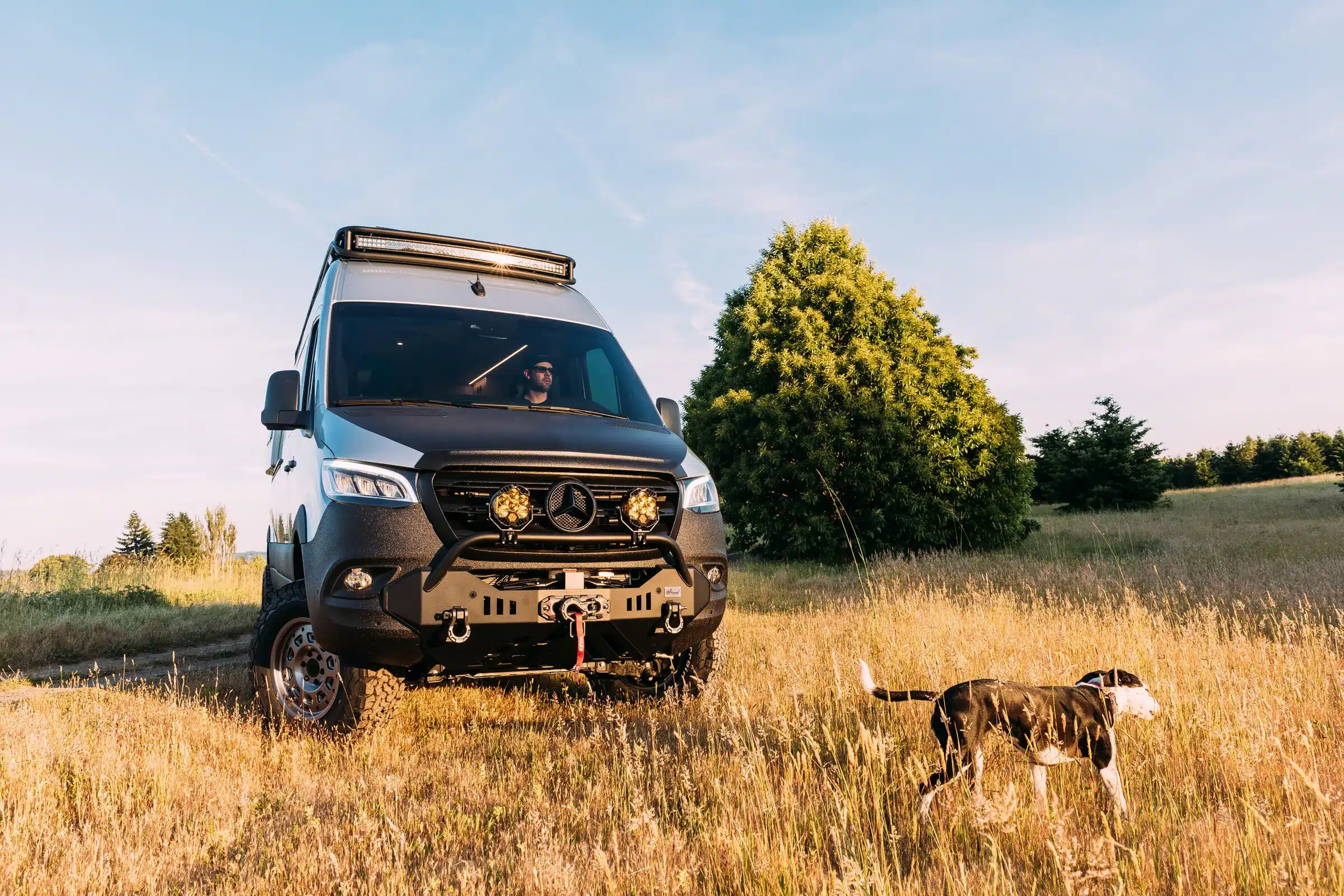 Mercedes Sprinter 170 4x4 Benchmark b wagon Offroad-Camper auf einer Wiese mit Hund im Vordergrund