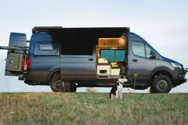 Seitenansicht eines For Adventure 2024 Sprinter AWD Campervans mit geöffneter Tür und Hund auf einer Wiese