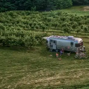Airstream Trade Wind 2026 Reiseanhänger mit Pickup auf einer grünen Wiese, umgeben von Obstbäumen.