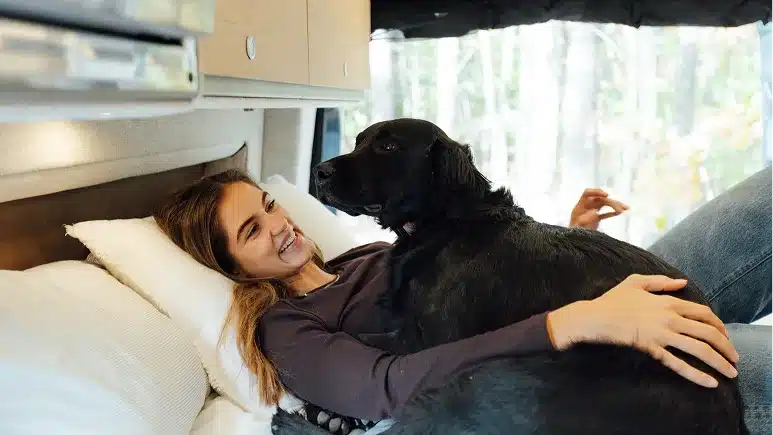 Frau liegt mit Hund auf dem Bett im Dark MODE XO Campervan