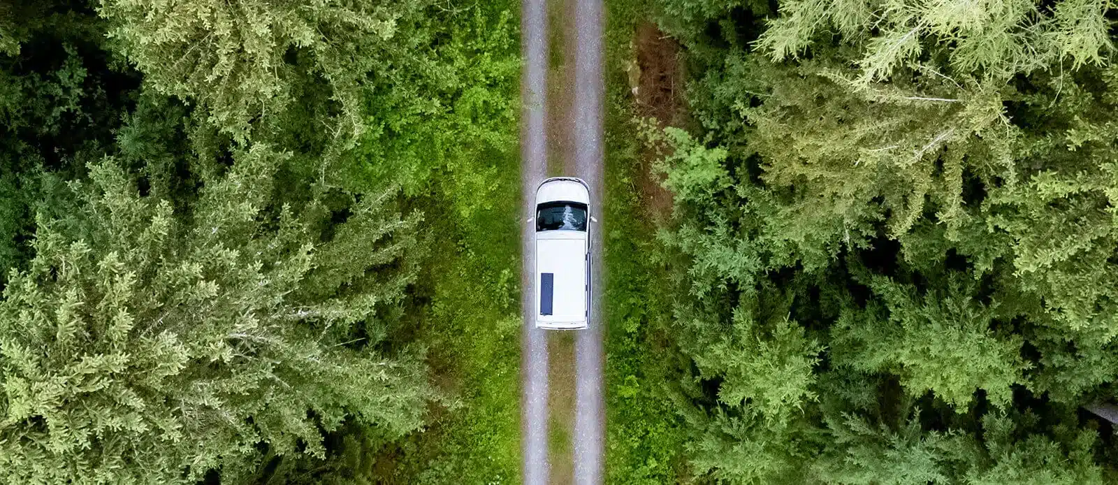 Vogelperspektive auf den Yucon 55 SB FEVER Campervan, der einen schmalen Weg durch einen dichten Wald fährt.