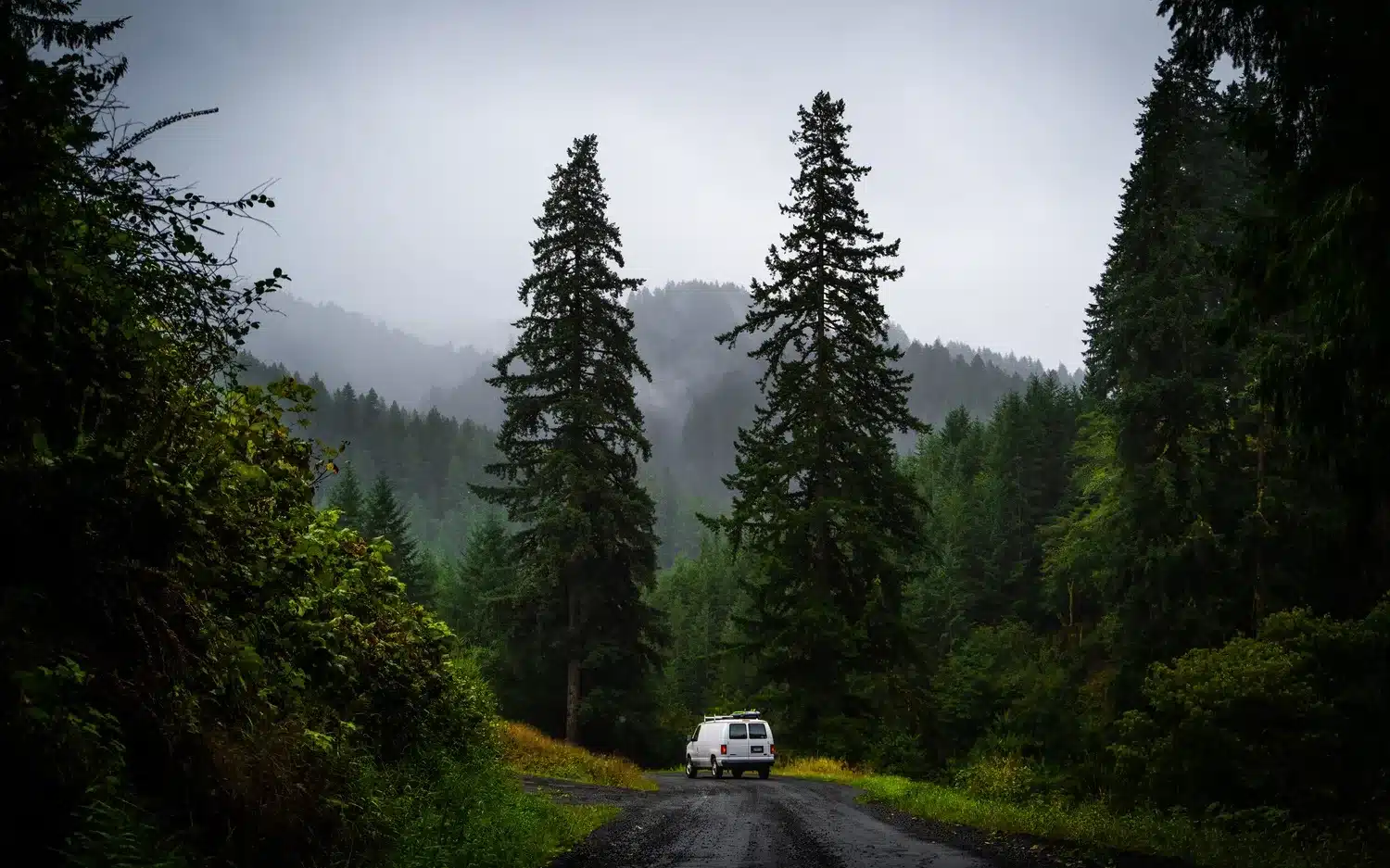 Weißer Campervan auf einer nassen, von Bäumen gesäumten Waldstraße mit Nebel im Hintergrund