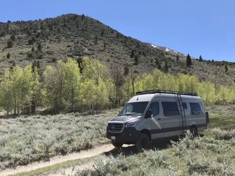 Motherload Campervan auf schmalem Weg in hügeliger Landschaft mit Bäumen