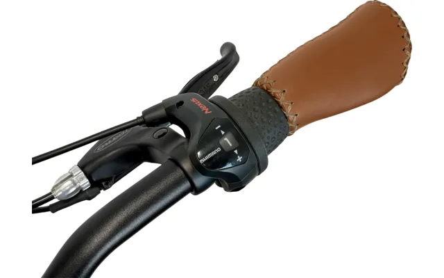 Shimano-Nabenschaltung und brauner Griff am Lenker des Blaupunkt Lotte E-Bikes, Detailaufnahme.