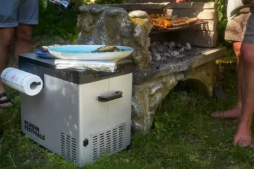 Kühlbox mit zwei separaten Fächern im Einsatz beim Grillen und Camping neben einem Van