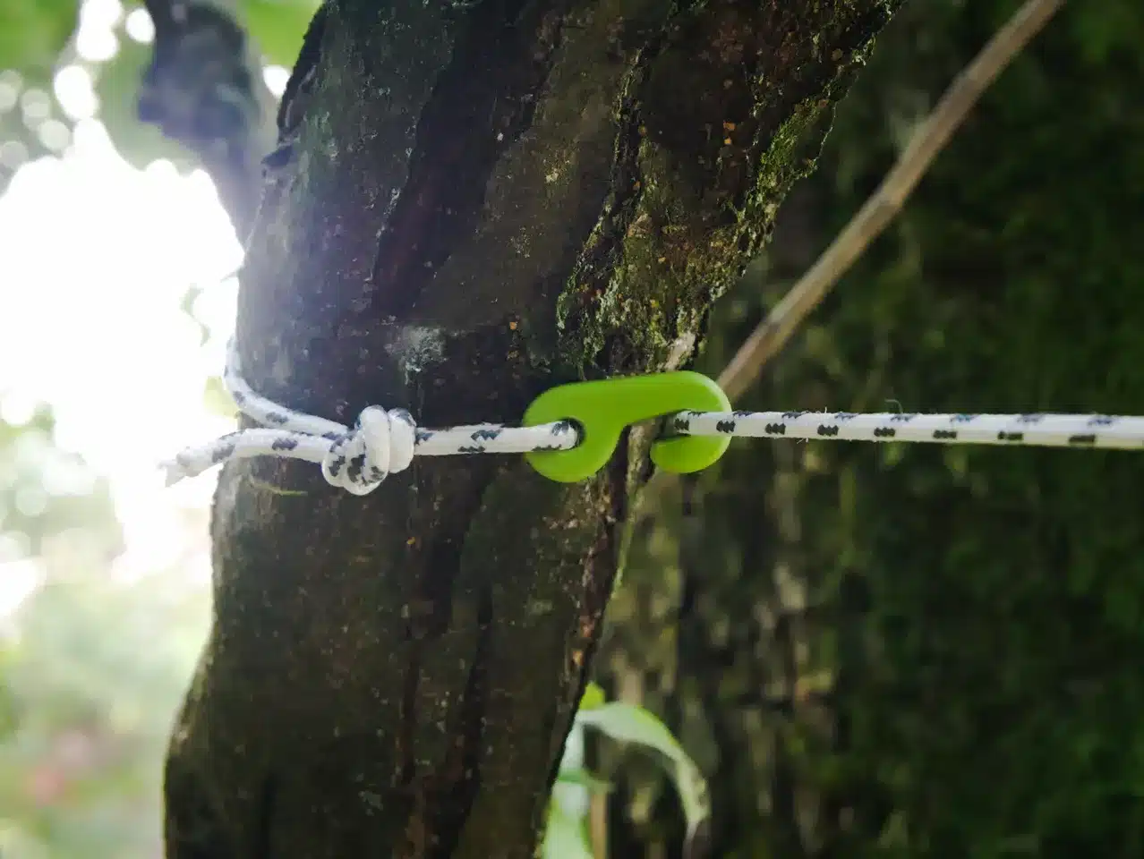 Wäscheleine mit grünem Spanner, befestigt an einem Baumstamm – ideal für Camping und Vanlife