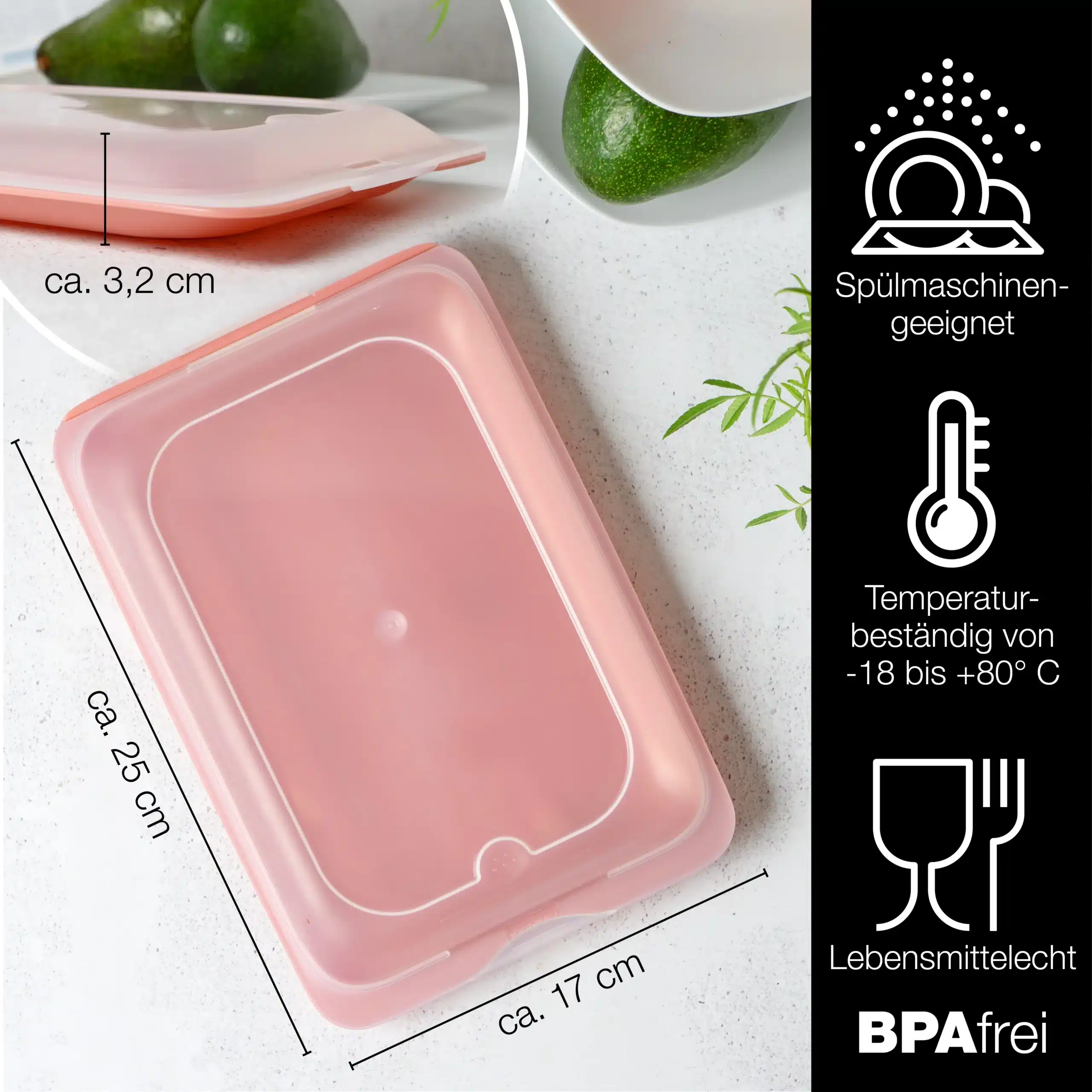 Flache Aufschnittdose in Rosa mit Maßangaben, Symbolen für spülmaschinengeeignet, temperaturbeständig und BPA-frei