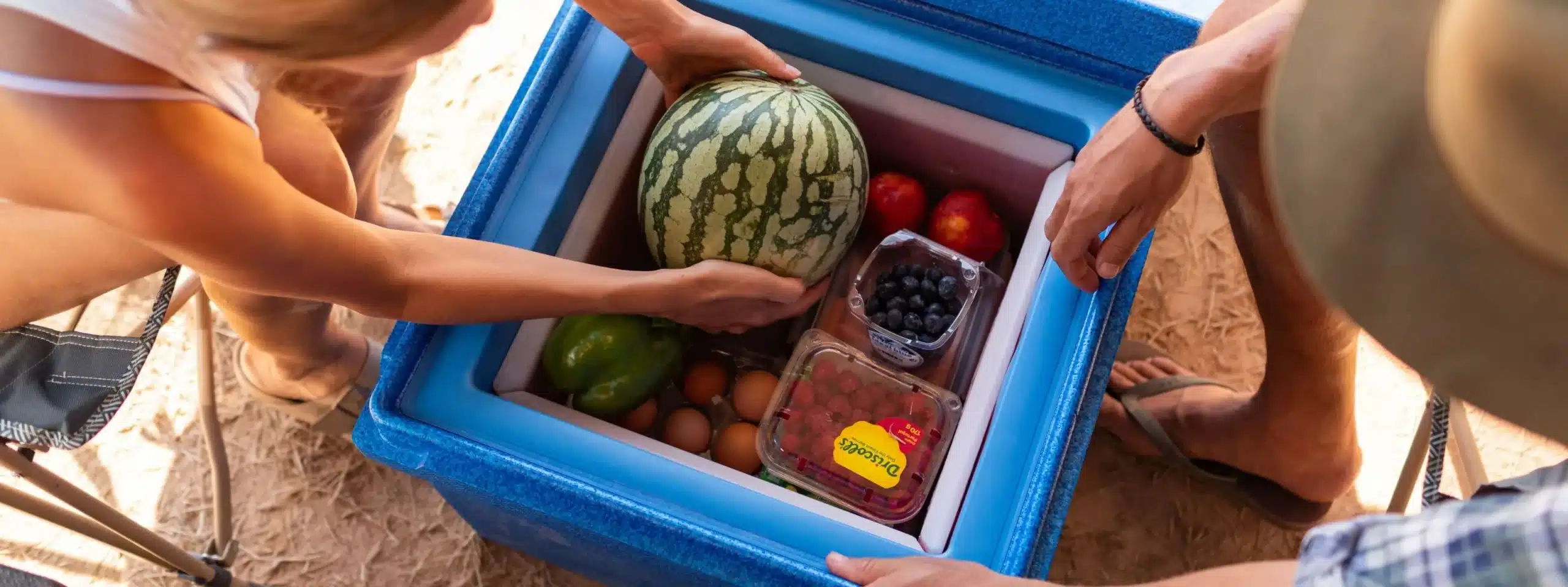 Zwei Personen legen Obst und Gemüse in eine blaue QOOL Kühlbox beim Camping.