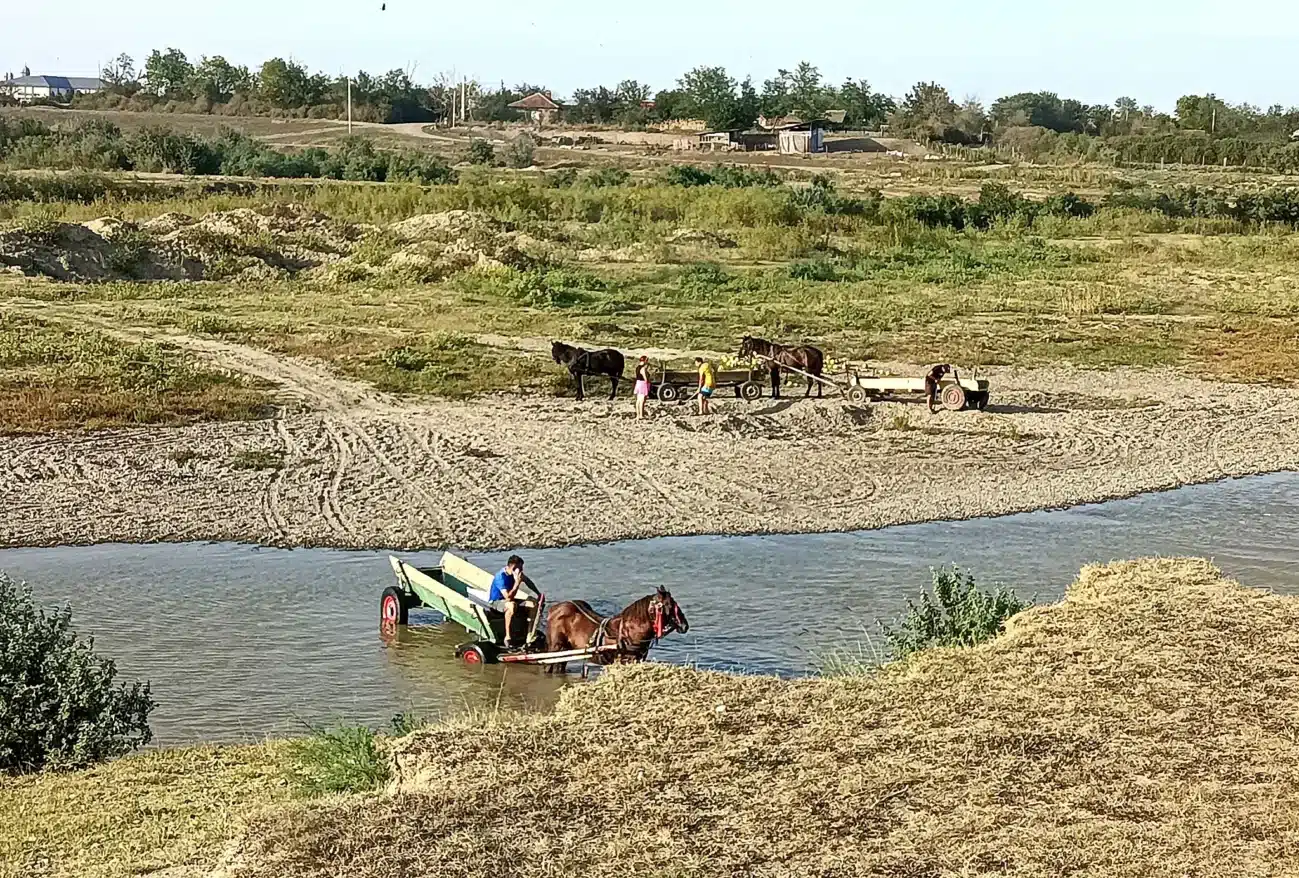 Roma am Fluss in Rumänien mit Pferdewagen und Menschen, die Pferde im Wasser waschen