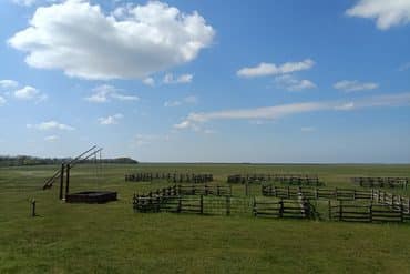 Weite Puszta in Ungarn mit traditionellem Ziehbrunnen und Holzzäunen
