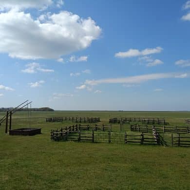 Weite Puszta in Ungarn mit traditionellem Ziehbrunnen und Holzzäunen