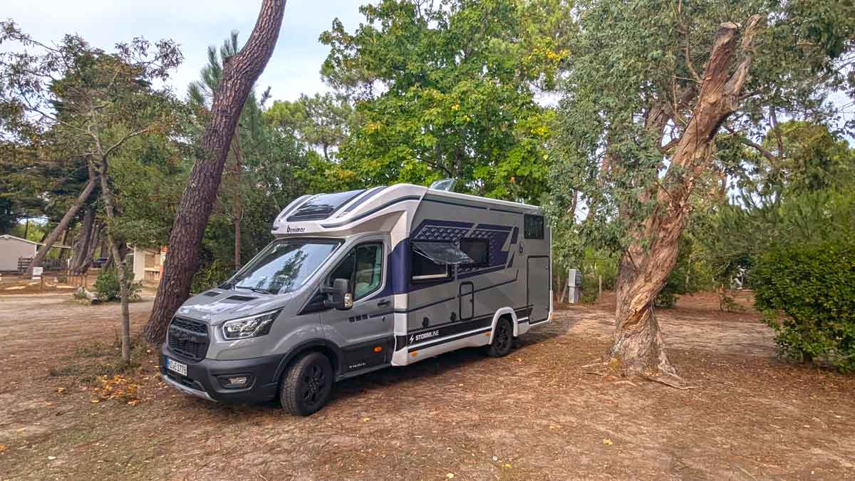 Wohnmobil zwischen Pinien